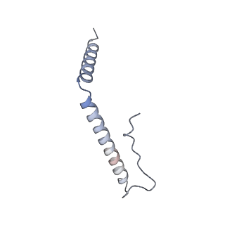 21233_6vlz_A3_v1-2
Structure of the human mitochondrial ribosome-EF-G1 complex (ClassI)