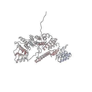 21233_6vlz_A4_v1-1
Structure of the human mitochondrial ribosome-EF-G1 complex (ClassI)