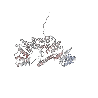 21233_6vlz_A4_v1-2
Structure of the human mitochondrial ribosome-EF-G1 complex (ClassI)