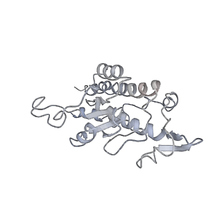 21233_6vlz_AB_v1-1
Structure of the human mitochondrial ribosome-EF-G1 complex (ClassI)