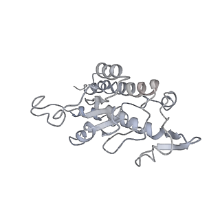 21233_6vlz_AB_v1-2
Structure of the human mitochondrial ribosome-EF-G1 complex (ClassI)