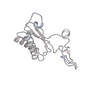 21233_6vlz_AC_v1-1
Structure of the human mitochondrial ribosome-EF-G1 complex (ClassI)