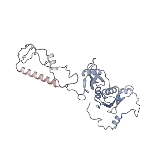 21233_6vlz_AD_v1-1
Structure of the human mitochondrial ribosome-EF-G1 complex (ClassI)
