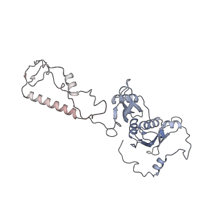 21233_6vlz_AD_v1-2
Structure of the human mitochondrial ribosome-EF-G1 complex (ClassI)