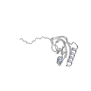 21233_6vlz_AE_v1-1
Structure of the human mitochondrial ribosome-EF-G1 complex (ClassI)