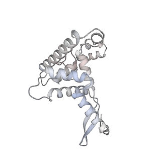 21233_6vlz_AF_v1-1
Structure of the human mitochondrial ribosome-EF-G1 complex (ClassI)