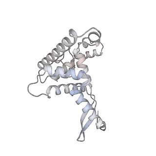 21233_6vlz_AF_v1-2
Structure of the human mitochondrial ribosome-EF-G1 complex (ClassI)