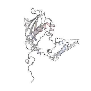 21233_6vlz_AG_v1-1
Structure of the human mitochondrial ribosome-EF-G1 complex (ClassI)