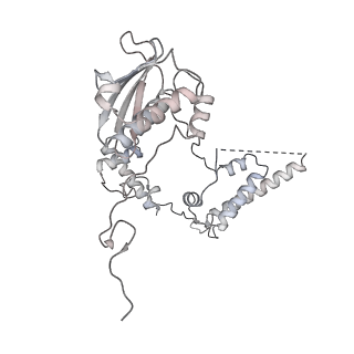 21233_6vlz_AG_v1-2
Structure of the human mitochondrial ribosome-EF-G1 complex (ClassI)