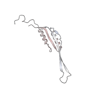 21233_6vlz_AH_v1-2
Structure of the human mitochondrial ribosome-EF-G1 complex (ClassI)