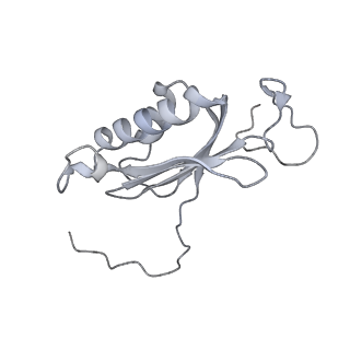 21233_6vlz_AI_v1-1
Structure of the human mitochondrial ribosome-EF-G1 complex (ClassI)