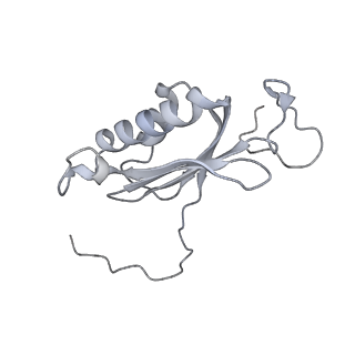 21233_6vlz_AI_v1-2
Structure of the human mitochondrial ribosome-EF-G1 complex (ClassI)