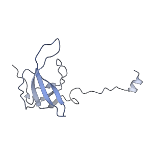 21233_6vlz_AJ_v1-2
Structure of the human mitochondrial ribosome-EF-G1 complex (ClassI)