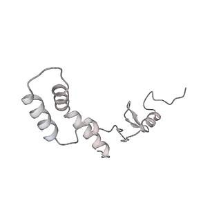 21233_6vlz_AK_v1-1
Structure of the human mitochondrial ribosome-EF-G1 complex (ClassI)