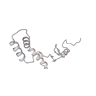 21233_6vlz_AK_v1-2
Structure of the human mitochondrial ribosome-EF-G1 complex (ClassI)