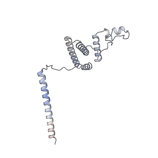 21233_6vlz_AL_v1-1
Structure of the human mitochondrial ribosome-EF-G1 complex (ClassI)