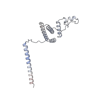 21233_6vlz_AL_v1-2
Structure of the human mitochondrial ribosome-EF-G1 complex (ClassI)