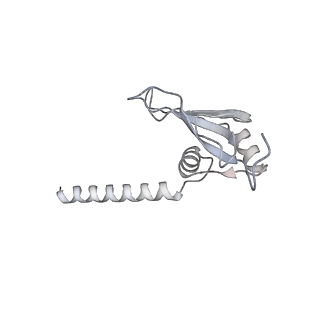 21233_6vlz_AM_v1-2
Structure of the human mitochondrial ribosome-EF-G1 complex (ClassI)