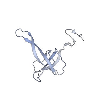 21233_6vlz_AN_v1-1
Structure of the human mitochondrial ribosome-EF-G1 complex (ClassI)