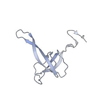 21233_6vlz_AN_v1-2
Structure of the human mitochondrial ribosome-EF-G1 complex (ClassI)