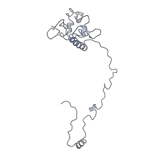 21233_6vlz_AO_v1-2
Structure of the human mitochondrial ribosome-EF-G1 complex (ClassI)