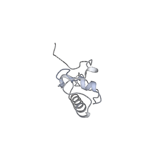 21233_6vlz_AP_v1-1
Structure of the human mitochondrial ribosome-EF-G1 complex (ClassI)