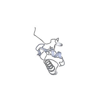 21233_6vlz_AP_v1-2
Structure of the human mitochondrial ribosome-EF-G1 complex (ClassI)