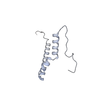 21233_6vlz_AQ_v1-1
Structure of the human mitochondrial ribosome-EF-G1 complex (ClassI)