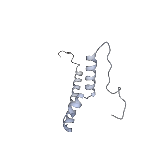 21233_6vlz_AQ_v1-2
Structure of the human mitochondrial ribosome-EF-G1 complex (ClassI)