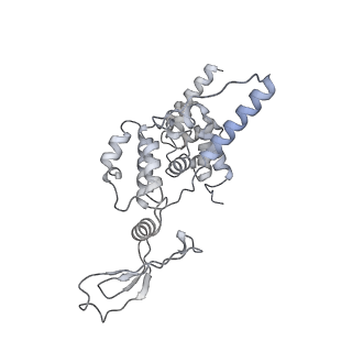 21233_6vlz_AR_v1-1
Structure of the human mitochondrial ribosome-EF-G1 complex (ClassI)
