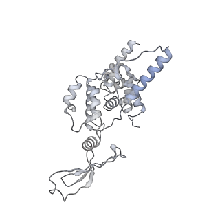 21233_6vlz_AR_v1-2
Structure of the human mitochondrial ribosome-EF-G1 complex (ClassI)