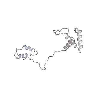 21233_6vlz_AS_v1-1
Structure of the human mitochondrial ribosome-EF-G1 complex (ClassI)