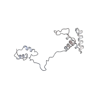 21233_6vlz_AS_v1-2
Structure of the human mitochondrial ribosome-EF-G1 complex (ClassI)