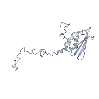 21233_6vlz_AT_v1-1
Structure of the human mitochondrial ribosome-EF-G1 complex (ClassI)