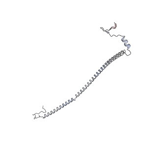 21233_6vlz_AU_v1-2
Structure of the human mitochondrial ribosome-EF-G1 complex (ClassI)