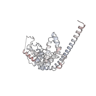21233_6vlz_AV_v1-1
Structure of the human mitochondrial ribosome-EF-G1 complex (ClassI)