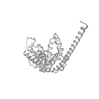 21233_6vlz_AV_v1-2
Structure of the human mitochondrial ribosome-EF-G1 complex (ClassI)