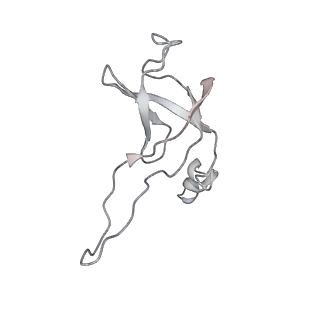 21233_6vlz_AW_v1-1
Structure of the human mitochondrial ribosome-EF-G1 complex (ClassI)