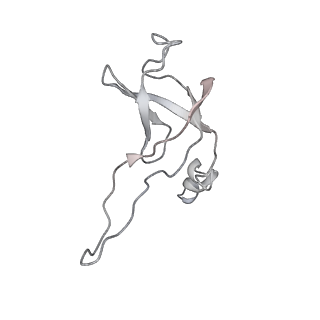 21233_6vlz_AW_v1-2
Structure of the human mitochondrial ribosome-EF-G1 complex (ClassI)