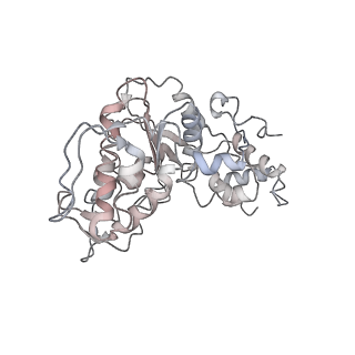 21233_6vlz_AX_v1-1
Structure of the human mitochondrial ribosome-EF-G1 complex (ClassI)