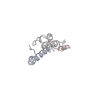 21233_6vlz_AY_v1-1
Structure of the human mitochondrial ribosome-EF-G1 complex (ClassI)