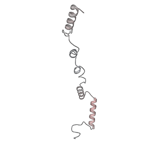 21233_6vlz_AZ_v1-1
Structure of the human mitochondrial ribosome-EF-G1 complex (ClassI)