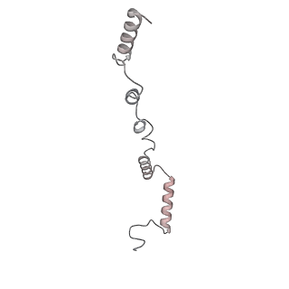 21233_6vlz_AZ_v1-2
Structure of the human mitochondrial ribosome-EF-G1 complex (ClassI)