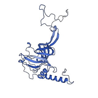 21233_6vlz_E_v1-1
Structure of the human mitochondrial ribosome-EF-G1 complex (ClassI)