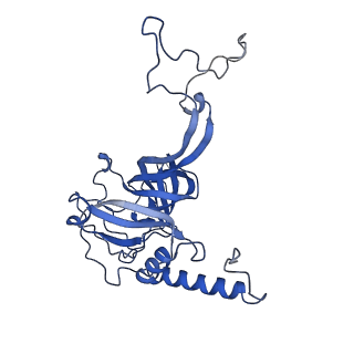 21233_6vlz_E_v1-2
Structure of the human mitochondrial ribosome-EF-G1 complex (ClassI)