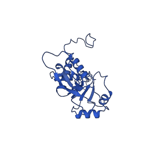 21233_6vlz_F_v1-1
Structure of the human mitochondrial ribosome-EF-G1 complex (ClassI)