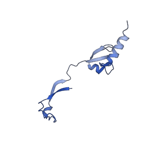 21233_6vlz_H_v1-2
Structure of the human mitochondrial ribosome-EF-G1 complex (ClassI)