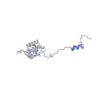 21233_6vlz_I_v1-1
Structure of the human mitochondrial ribosome-EF-G1 complex (ClassI)