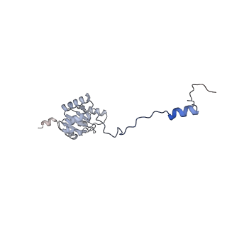 21233_6vlz_I_v1-2
Structure of the human mitochondrial ribosome-EF-G1 complex (ClassI)