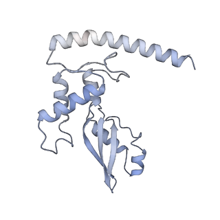 21233_6vlz_J_v1-1
Structure of the human mitochondrial ribosome-EF-G1 complex (ClassI)